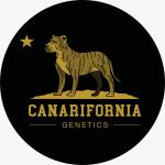 Canarifornia Genetics's image