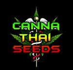 Canna Thai Seeds's image