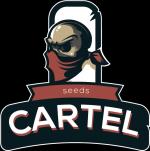 Cartel Seeds's image