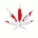 Canadian Cannabis Genetics's image