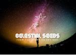 Celestial Seeds's image