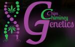 Chim Chiminey Genetics's image