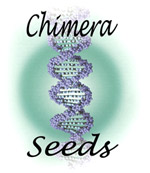 Chimera Seeds's image