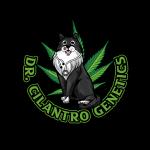 Dr. Cilantro Genetics's image