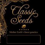 Classic Seeds's image