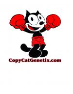 Copycat Genetix's image