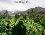 Da Bean Co.'s image