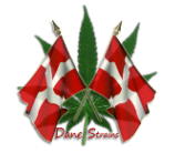 Dane Strains's image