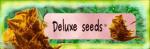 Deluxe Seeds's image