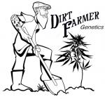 Dirt Farmer Genetics's image