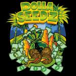 Dolla Seedz's image