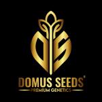 Domus Seeds's image