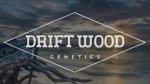 Driftwood Genetics's image