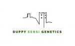 Duppy Sensi Genetics's image