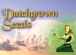 Dutchgrown Seeds's image