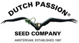 Dutch Passion's image