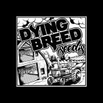 Dying Breed Seeds's image