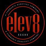 Elev8 Seeds's image