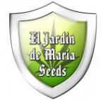 El Jardin de Maria Seeds's image