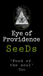 Eye of Providence Seeds's image