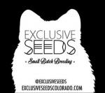 Exclusive Seeds's image