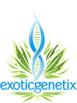 Exotic Genetix's image