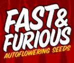 Fast & Furious Seeds's image