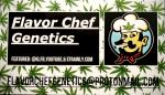 Flavor Chef Genetics's image