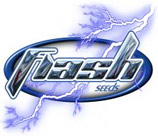 Flash Seeds's image