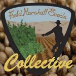 Field Marshall Seeds Collective's image