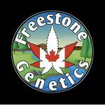 Freestone Genetics's image