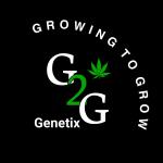 G2G Genetix's image