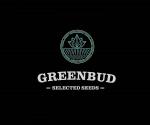 Greenbud Seeds's image