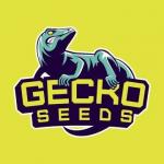 Gecko Seeds's image