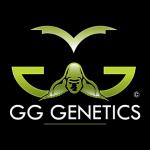 GG Genetics's image