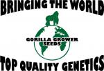 Gorrilla Grower Seeds's image