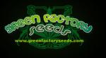 Green Factory Seeds's image