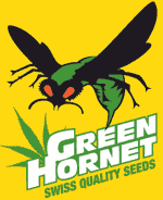 Green Hornet's image