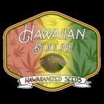 Hawaiian Budline's image