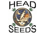 Head Seeds's image