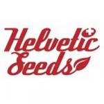 Helvetic Seeds's image