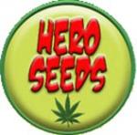 Hero Seeds's image