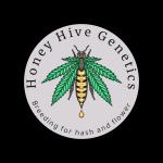 Honey Hive Genetics's image