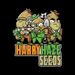 Harry Haze Seeds's image