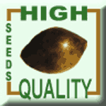 High Quality Seeds's image