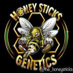 Honey Sticks Genetics's image