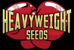 Heavyweight Seeds's image