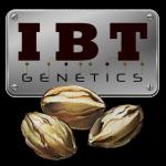 IBT Genetics Seeds's image