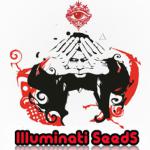 Illuminati Seeds's image