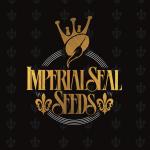 Imperial Seal Seeds's image